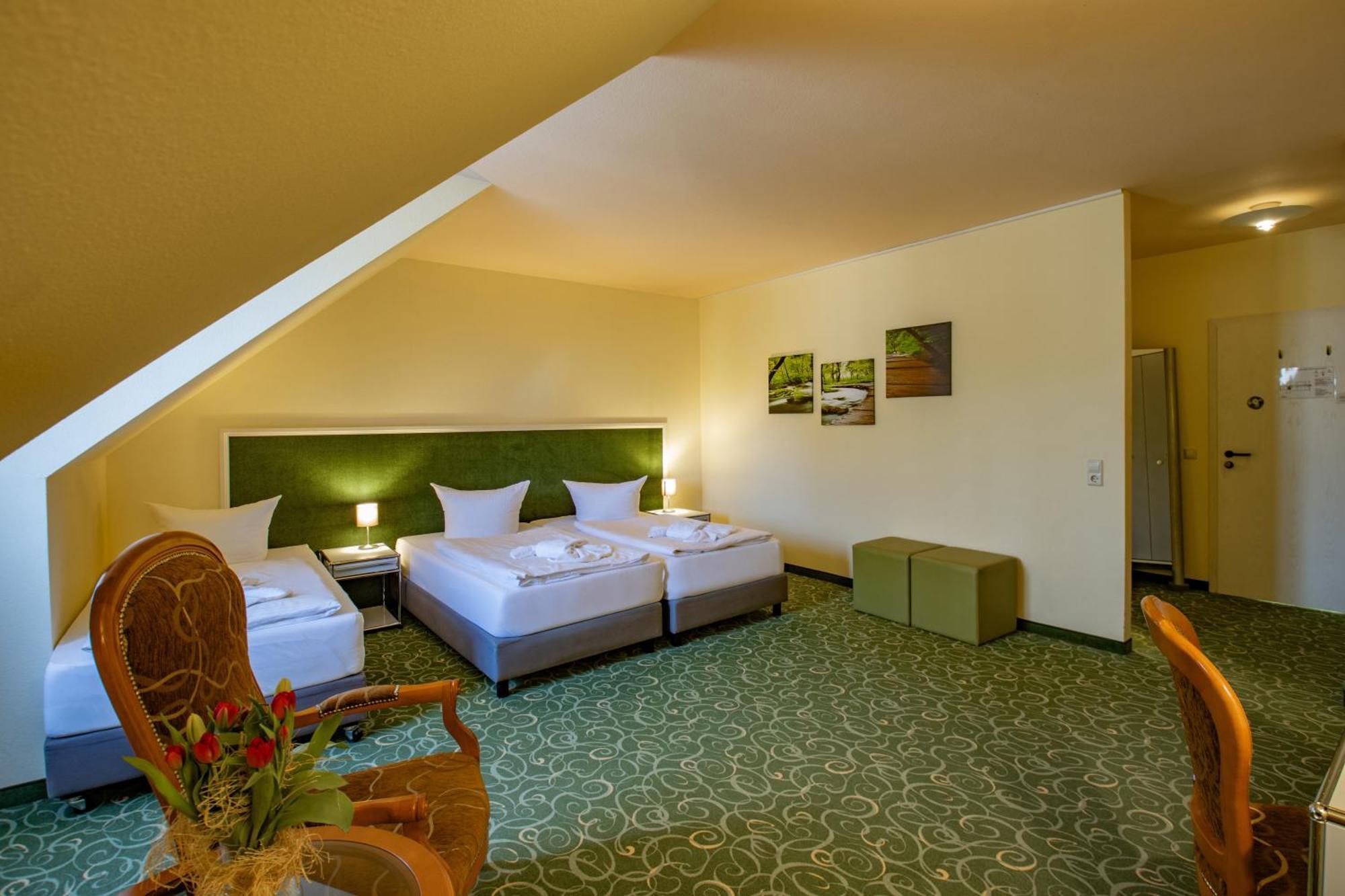 Erzgebirgshotel Freiberger Hohe Hotel 3*